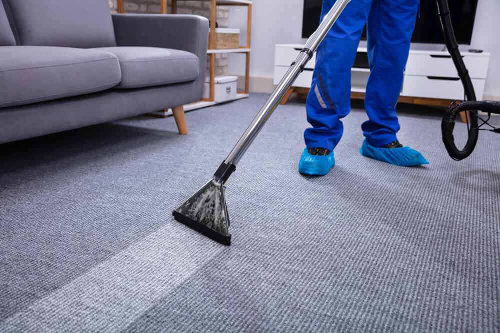 Carpet & Upholstery Cleaning